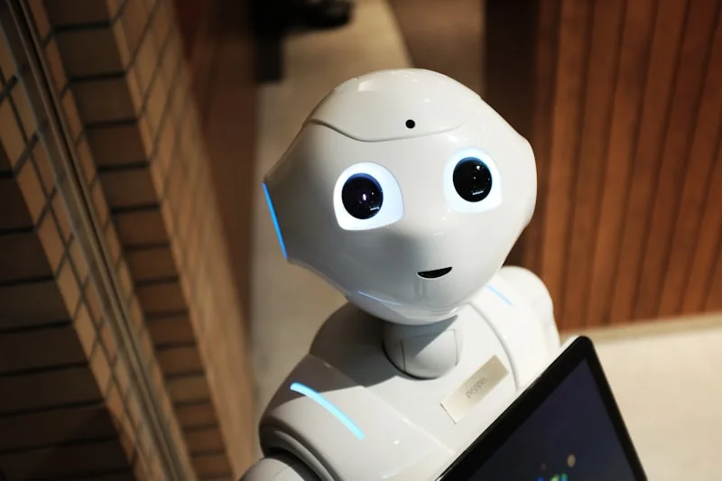LLM ve AI Hosting Avantajları