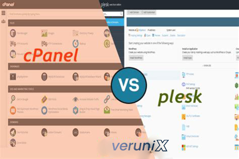 cPanel vs Plesk: Hangi Kontrol Panelleri Daha İdeal?